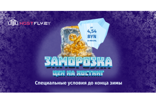 Акция «Заморозка» от Hostfly. Только холодный расчет, только выгодные тарифы